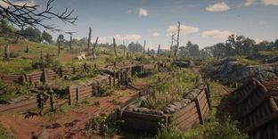 Игрок Red Dead Redemption 2 обнаружил удивительный секрет